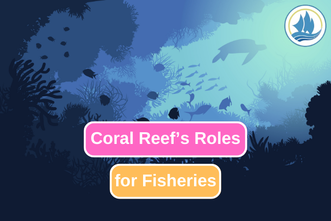 The Vital Role of Coral Reefs in the Fishing Industry